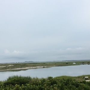 Meet your Posher, Callie